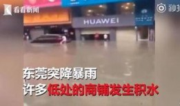 济南探店爆料事件视频,网红美食背后的真相大揭秘